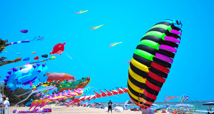 Celebrate Uttarayan, the International Kite Festival of India