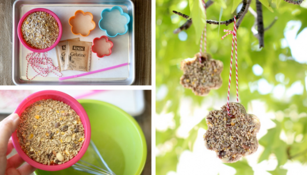 Easy Homemade Birdfeeder Craft