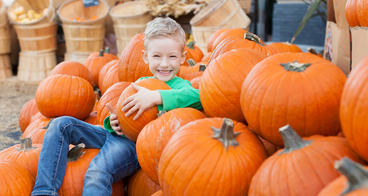 Printable: Learn the Parts of a Pumpkin in Spanish