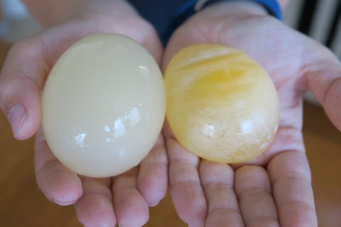 How to make an eggshell disappear