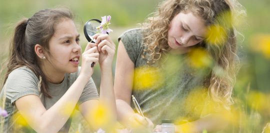 summer learning loss science activities