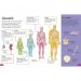 DKfindout! Human Body - page view 1