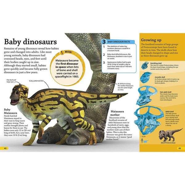 DKfindout! Dinosaurs - page view 3