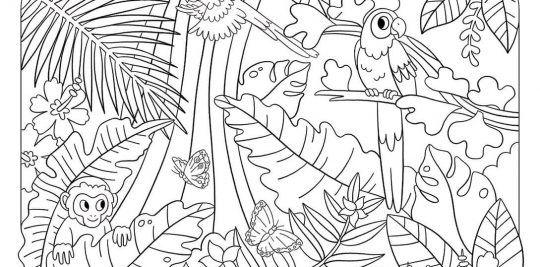 Butterflies of the Amazon coloring page from Little Passports