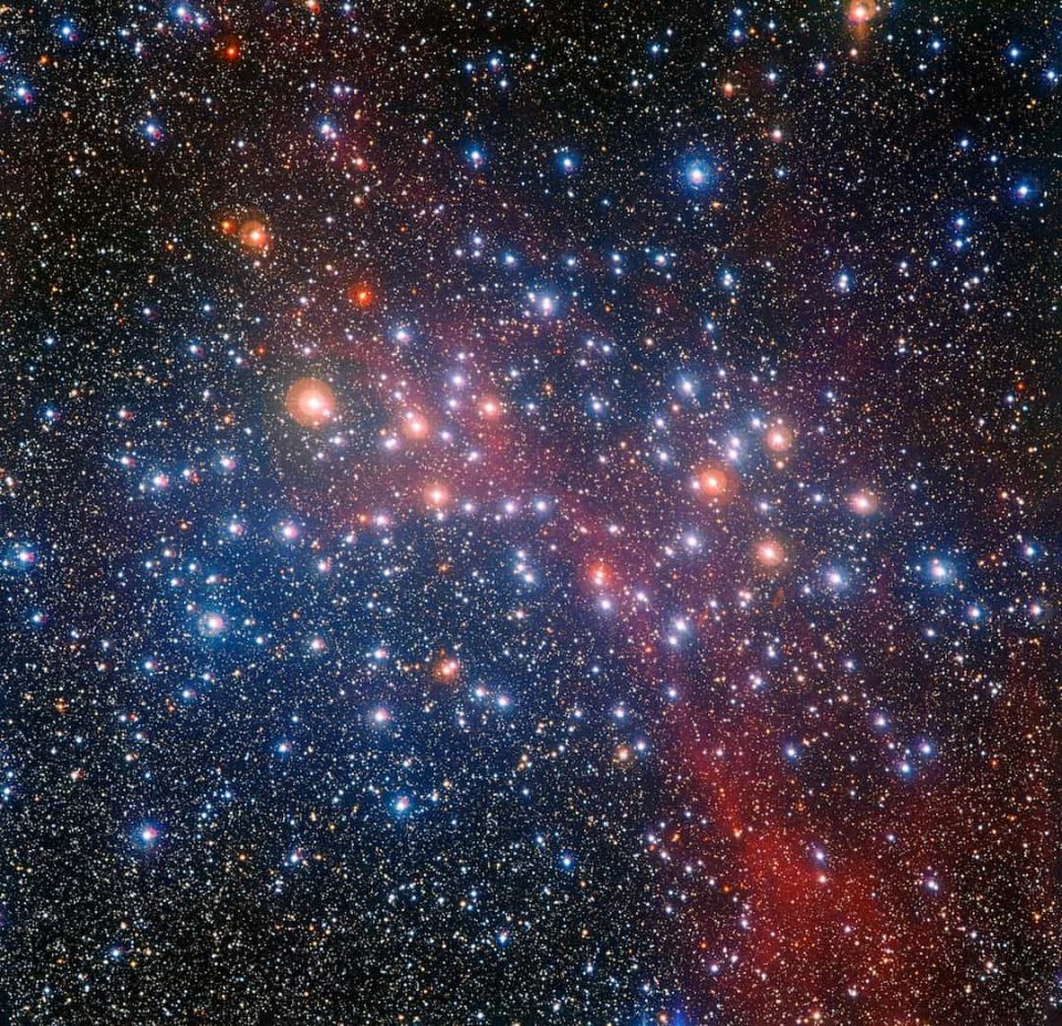 The color of the stars in star cluster NGC 3532 
