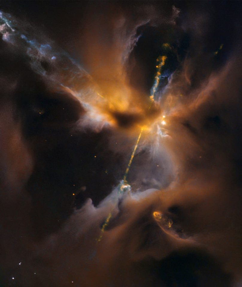 A newborn star forming in a gas cloud