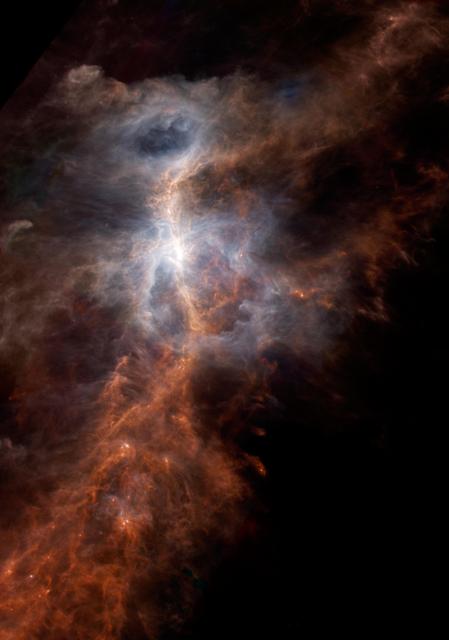 New stars forming in the Orion nebula