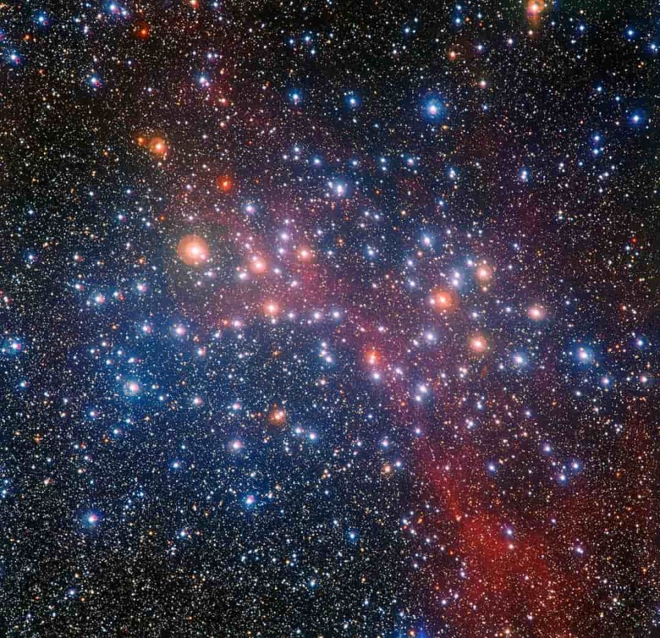 Red giants in the star cluster NGC 3532