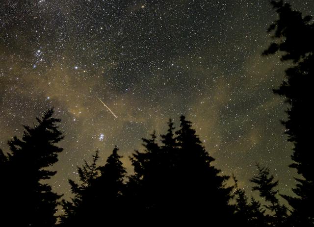 Meteor in starry sky during Perseid meteor shower